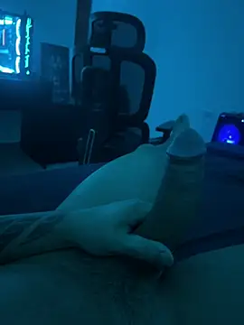 Show de webcam de novinho20cm_ws