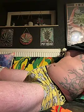 Flash0910 Show Webcam