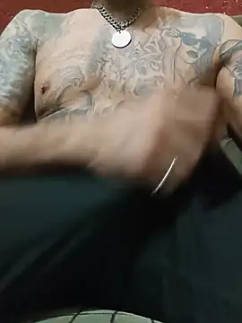 Show webcam de Kerryflon