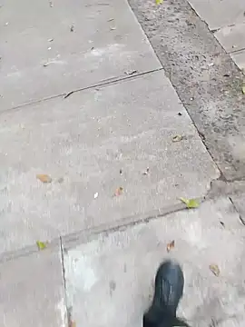 عرض كام dickcurved38