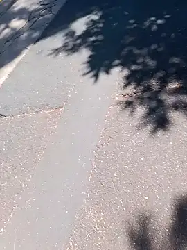 dickcurved38 网络视讯表演