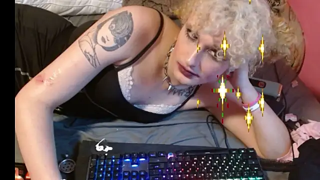 cuntycryptidn Webbikameraesitys
