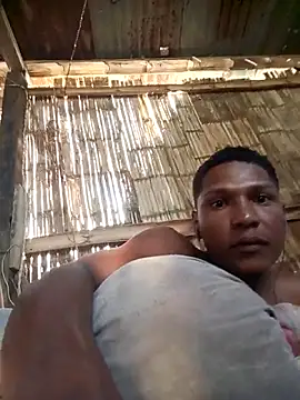 Pertunjukan Kamera Web Davir2001