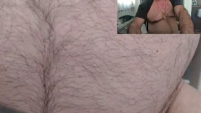 Show de webcam de DadBearBi