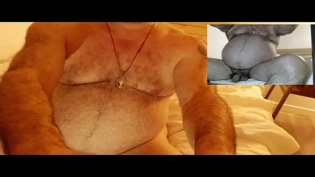 DadBearBi Шоу с уебкамера