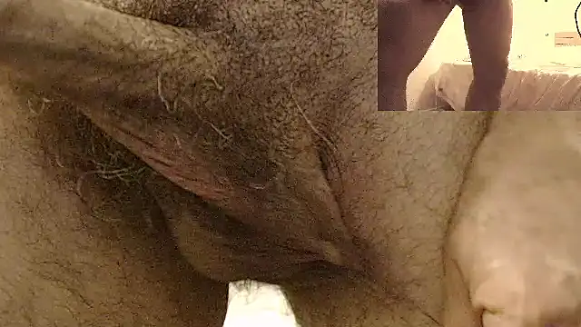 DadBearBi's Webcam Show