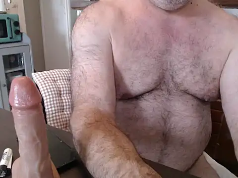 DadBearBiのウェブカメラショー