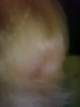 mcjbgfhgjhiiilllufjyf Pertunjukan Webcam