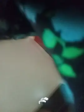 Živá chatovací místnost CamilaSmit24