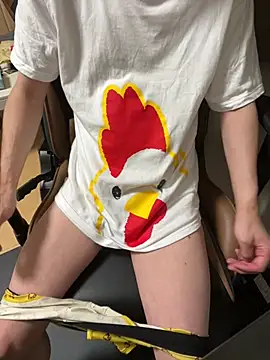 kousuke_3n Webbikameraesitys
