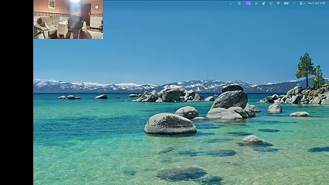 Minidemonkushn Webbikameraesitys