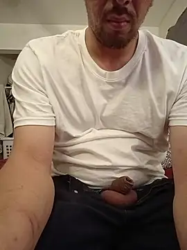 Show de webcam de himNIGuys