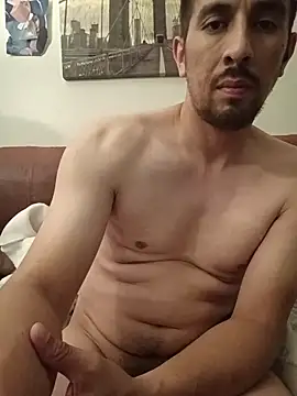Show webcam de himNIGuys