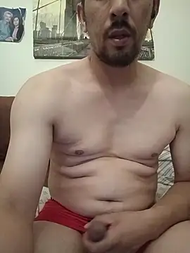 Show Webcam de himNIGuys