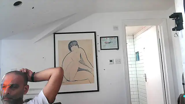 mista_sista_fistan Webbikameraesitys
