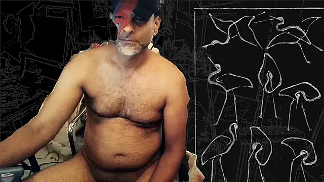 mista_sista_fistan Webbikameraesitys