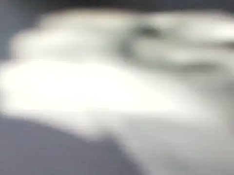 Chat ao vivo de yamini1431