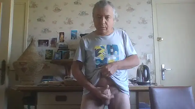Show webcam de gegevincent5