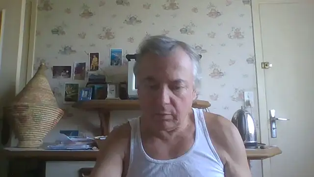 gegevincent5n Webbikameraesitys