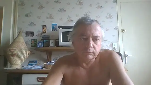 gegevincent5n Webbikameraesitys