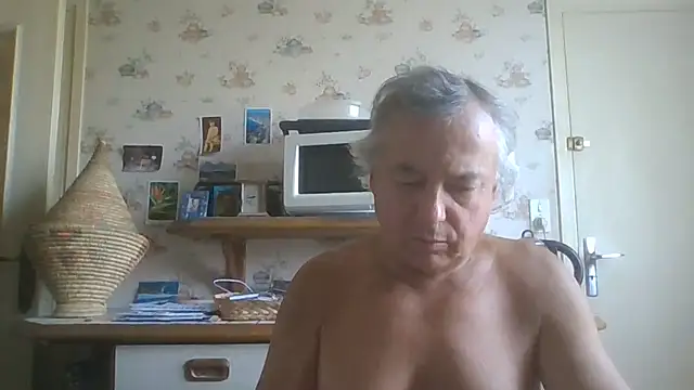 Show webcam de gegevincent5