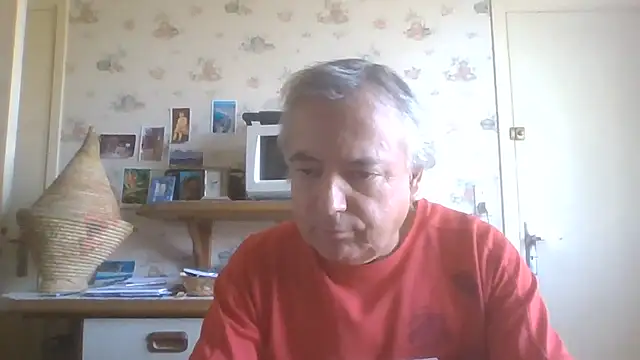 Show webcam de gegevincent5