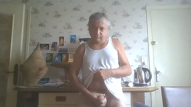gegevincent5n Webbikameraesitys