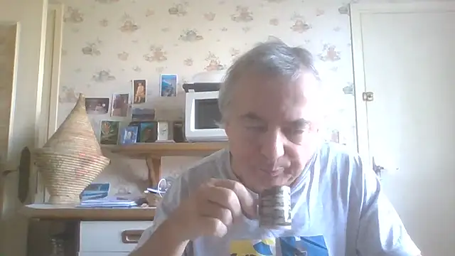 Show webcam de gegevincent5