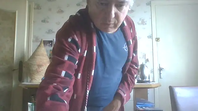 Show webcam de gegevincent5