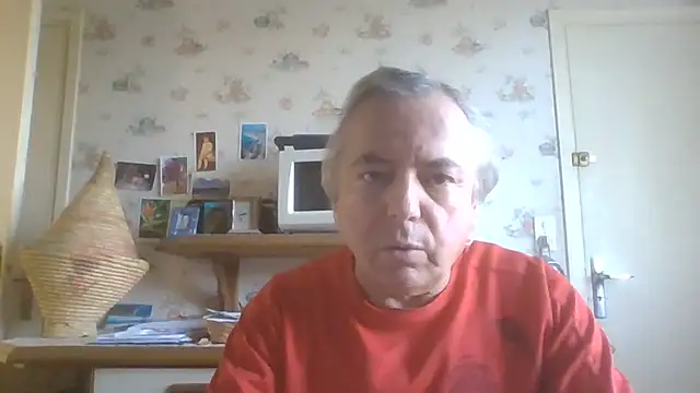 Show webcam de gegevincent5