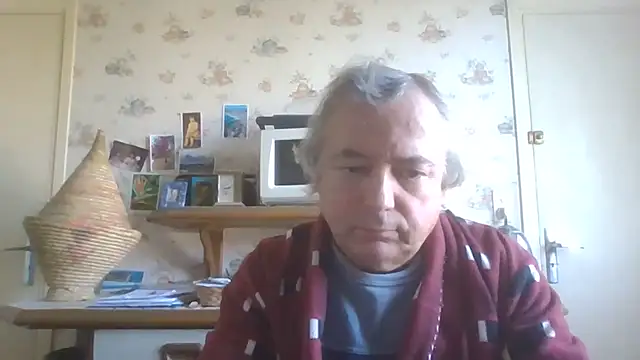 gegevincent5n Webbikameraesitys