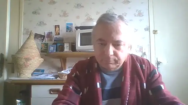 gegevincent5 Show Webcam