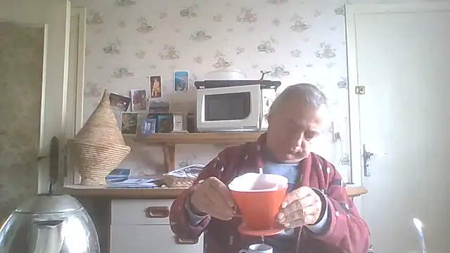 Show webcam de gegevincent5