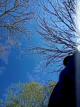 Pertunjukan Kamera Web frenchblackc31