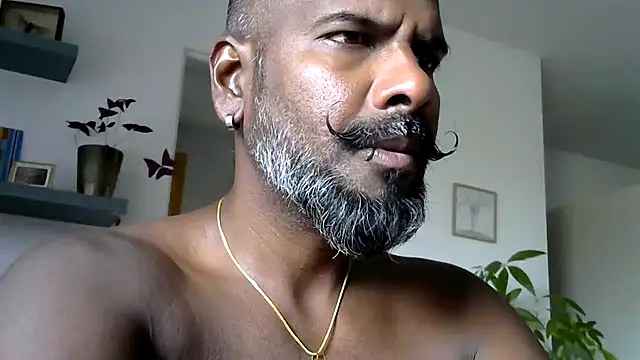 frenchblackc31 Show Webcam