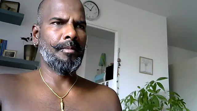 frenchblackc31 Show Webcam