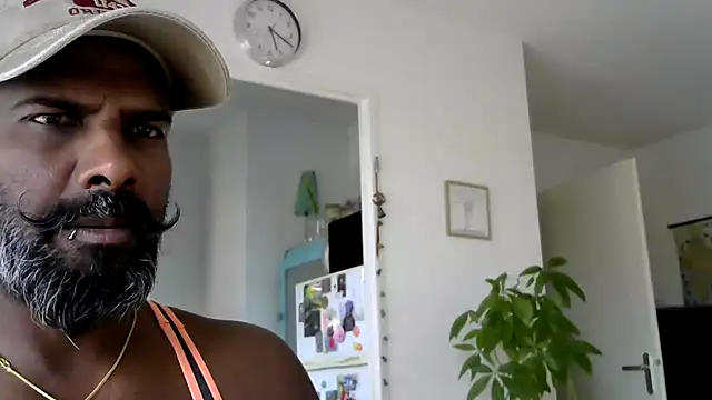frenchblackc31 웹캠 쇼