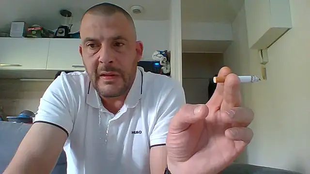 dartagnant Show Webcam