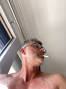 Show webcam de max219