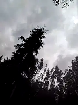 You-sexy-starr's Webcam Show