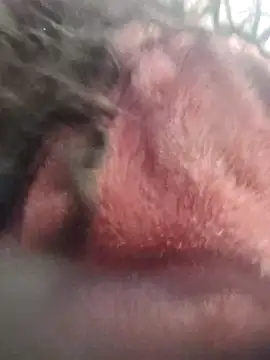 Show webcam de You-sexy-starr