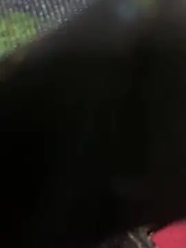 RentAdick's Webcam Show