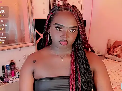 Hugemonsterblackn Webbikameraesitys