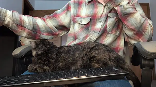 Opondestre00420のウェブカメラショー