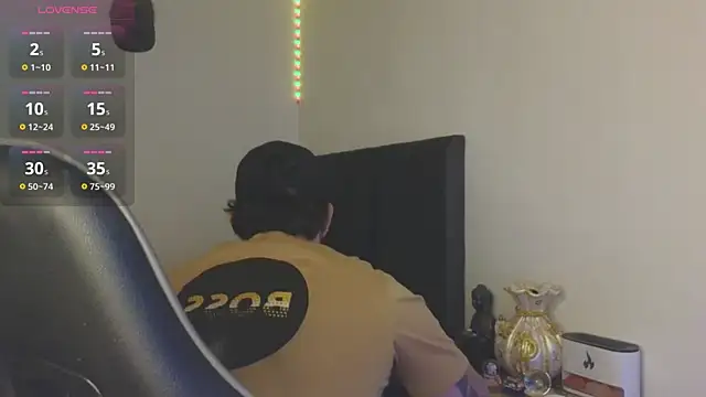 Ades_Lowe Show Webcam