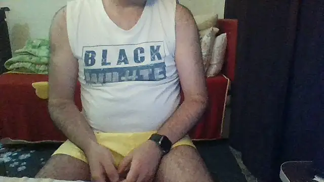 st206boyn Webbikameraesitys