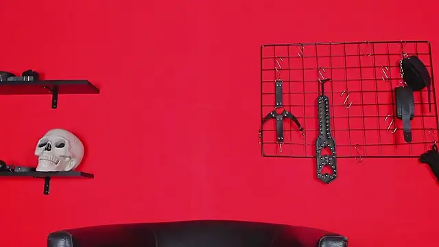 Show Webcam de Skelerata