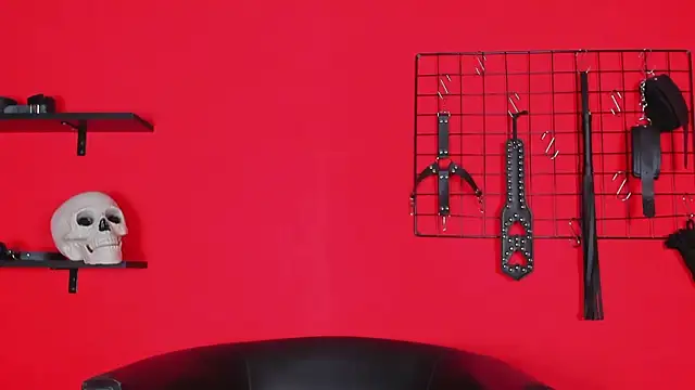 Skelerata webkamerás műsora