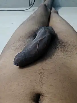 shri_02 网络视讯表演