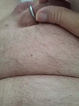 Show modela minnetird na web-kameri